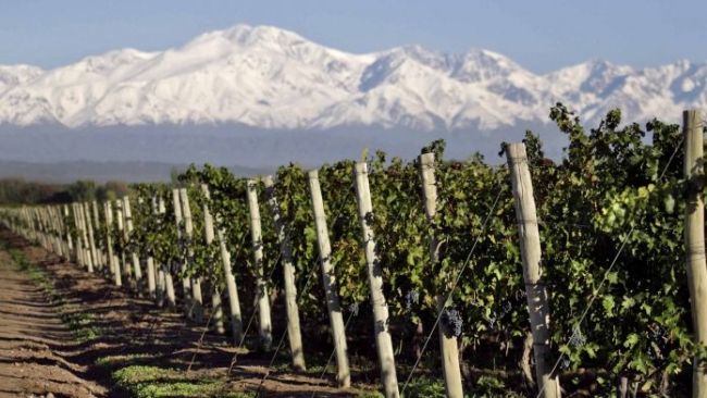 MENDOZA CON TERMAS DE CACHEUTA