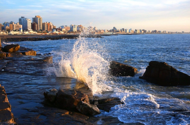 MAR DEL PLATA