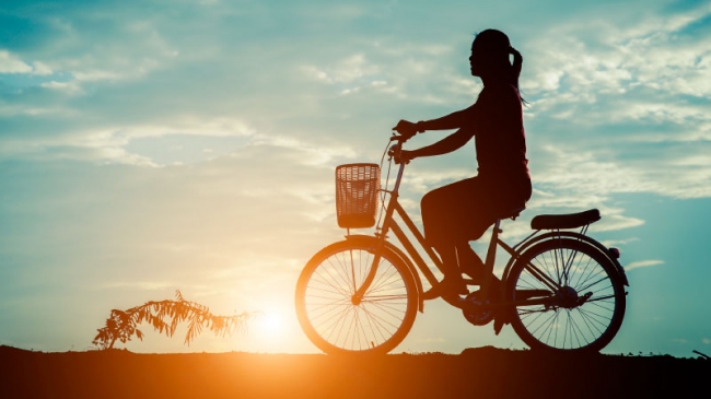 EXPERIENCIA FULL DAY CON ALQUILER DE BICI TODO EL AO EN COLONIA