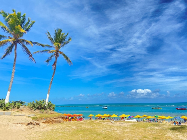 PRAIA DO FRANCES DE AGOSTO A DICIEMBRE 